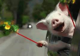 With tenor, maker of gif keyboard, add popular happy birthday animated gifs to your conversations. Piggy Sings Happy Birthday Animated Gif Image
