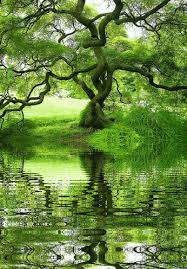 Html Code Center A Href Http Decentscraps Blogspot Com Target Blank Img Src Http 2 Bp Blogspot Com Jmyhh Nature Nature Pictures Beautiful Nature
