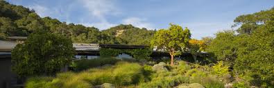 Maybe you would like to learn more about one of these? Visit Us Matanzas Creek