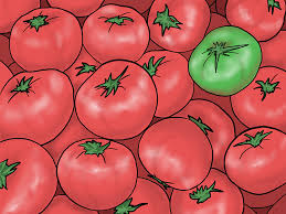 Maybe you would like to learn more about one of these? Emphasis A Principle Of Art