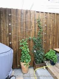 Gartentipp Rankgitter Garten Diy Gartenbau Rankgitter