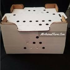 We did not find results for: How To Ship Live Chicks A Step By Step Guide For Shipping Chicks Mranimal Farm