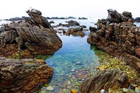 Tripadvisor has 1,158 reviews of struisbaai hotels, attractions, and restaurants making it your best struisbaai struisbaai tourism: Hd Wallpaper South Africa Struisbaai Blue Green Rocks Boulders Water Wallpaper Flare