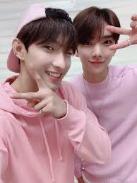 SEVENTEEN's Joshua And DK Talk About Their Collaboration With Pink Sweat$  Through An Interview Video Call
