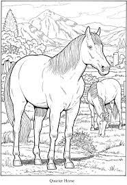 Pin On Horse Coloring Page