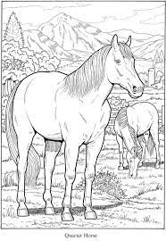 Coloring pages for horse are available below. Quarter Horse Coloring Page Youngandtae Com Horse Coloring Pages Horse Coloring Coloring Pages