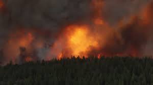 Could it we from the smoke from the wildfires? B C Wildfire Forces Entire Community Of Falkland To Evacuate News 1130