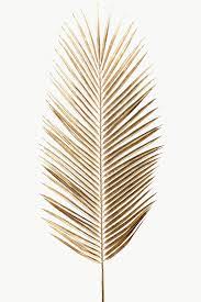 Areca Palm Leaf Painted In Gold Design Element Free Image By Rawpixel Com Teddy Rawpixel