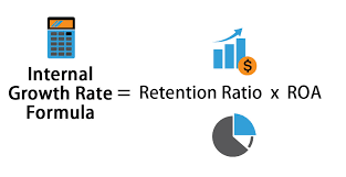 The raw per capita gdp number previously mentioned. Internal Growth Rate Formula Calculator Excel Template