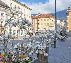 Die Zukunft im Blick