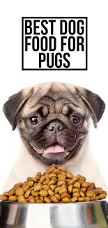The best food for pugs with sensitive stomachs. Best Dog Food For Pugs And Their Health Needs