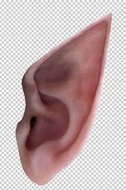 Elf Ears Psd By Emmytonks On Deviantart Elf Ears Collage Template Skin Textures