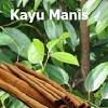 Kayu manis berkhasiat antimikroba, anticacing, antidiare, mengobati demam, influenza, dan berperan sebagai antiseptik. 1
