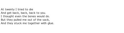 Sylvia Plath Poems My Poetic Side