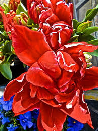 Maybe you would like to learn more about one of these? Gratis Surrealisme Foto Piqsels