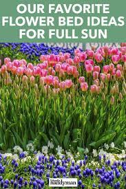 Our Favorite Flower Bed Ideas For Full Sun Backyard Flowers Beds Flower Beds Petunia Flower