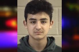 Brian Aleman — Whitfield County Jail Bookings