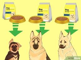 However, your german shepherd puppy will not need to eat a puppy food for this entire time. 3 Ways To Make Your German Shepherd Gain Weight Wikihow Pet