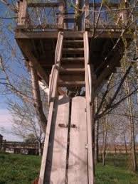 Find the perfect kids ladder stock illustrations from getty images. Treehouse Ladder With Safety Doors Tree House Outdoor Play Areas Backyard