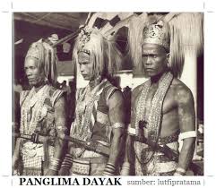 Panglima kumbang bungkirit / panglima kumbang bung. Perbedaan Panglima Burung Dan Kumbang