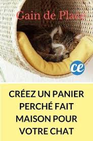 Gain De Place Creez Un Panier Perche Fait Maison Pour Votre Chat Arbres A Chat Maison Astuces Pour Chat Arbre A Chat Diy