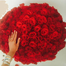 Come funziona un mazzo di fiori? Belen Rodriguez Le Rose Rosse Del Mistero Rose Rosse Mazzo Di Rose Rose