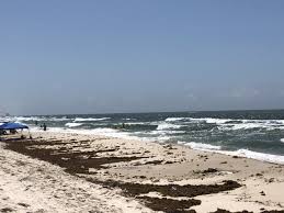 The raiders defensive lineman came out in a video posted on social media and said he would donate $100,000 to the trevor project. North Alabama Man Drowns In Waters Off Fort Morgan Beach Cbs 42