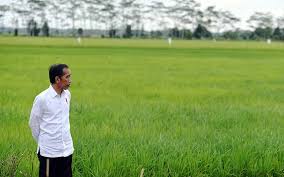 Penghasil beras terbesar di asia sehingga disebut lumbung padi asia. Indonesia Negara Agraris Tetapi Impor Beras Yonulis