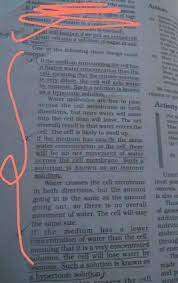 When an animal cell is placed in a hypotonic solution brainly. What Happens To The Cell Placed In A Hypertonic Solution B Isotonic Solution C Hypotonic Solution Brainly In