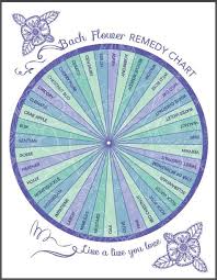 bach flower essence chart downloadable pdf bach flowers