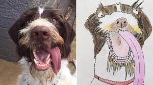 Maybe you would like to learn more about one of these? Man Raises 5k For Homeless By Drawing Rubbish Pet Portraits Metro News