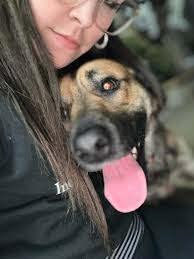 Does anyone know where I can get a cuddly James from x