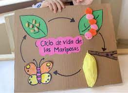 Pin En Ideas Creativas