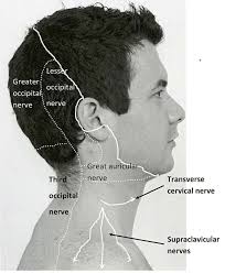 Pin On Dealing With Your Migraine