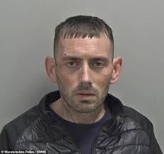 Shocking moment banned motorist crashes stolen van after driving wrong way 