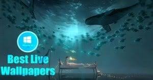 Download our free software and turn videos into your desktop wallpaper! 10 Best Live Wallpapers For Windows 10 Wallpaper Engine Laptrinhx