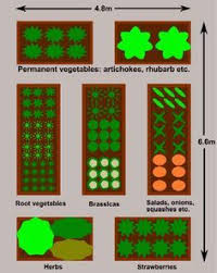 Raised Bed Vegetable Gardens Plan For A Large Garden Garden Layout Vegetable Vegetable Garden Planning Vegetable Beds Raised