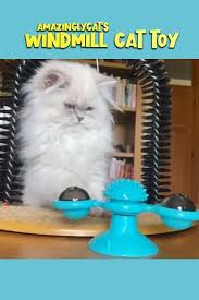 Pin On Top Cat Toys Amazinglycat Com