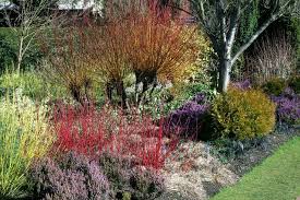 The Winter Gardens At Cambridge University Botanical Garden C Copyright Stuart Logan And Licensed For Reuse Und Garden Ideas Uk Winter Garden Landscape Design