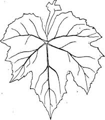 Free grapes coloring pages learn to coloring. Grape Leaves Colouring Pages Plantilla De Hoja Hoja De Parra Dibujo Como Dibujar Cosas