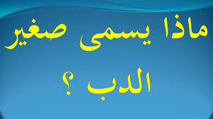 سُئل فبراير 11، 2018 بواسطة مجهول. Ø§Ø³Ù… Ø¯Ø¨ Ù…Ù† Ø§Ø±Ø¨Ø¹ Ø­Ø±ÙˆÙ Ø¬ÙˆØ§Ø¨ Ø§Ø³Ù… Ø­ÙŠÙˆØ§Ù† ÙŠØªÙƒÙˆÙ† Ù…Ù† 4 Ø­Ø±ÙˆÙ