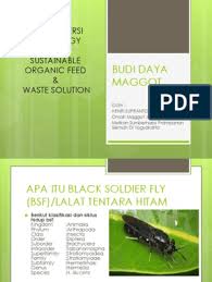 Maybe you would like to learn more about one of these? Budi Daya Maggot 1 Edit Pdf