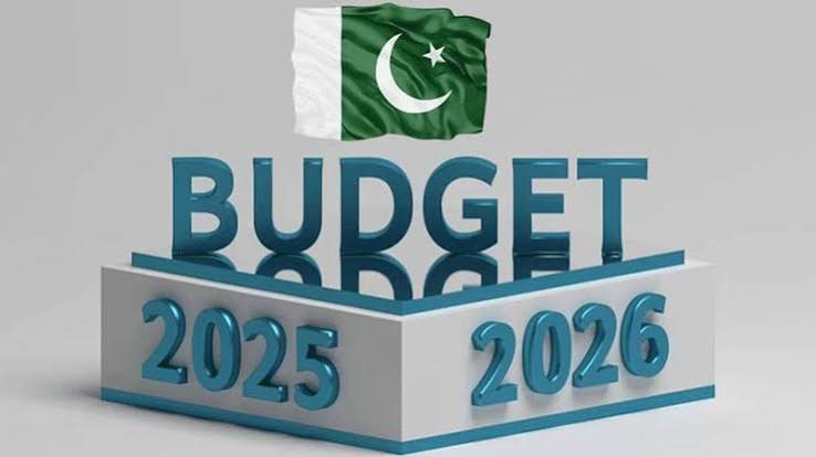 بجٹ 2025: کھربوں کی اضافی آمدنی کیسےممکن ہے؟