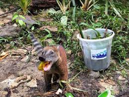 Wir geben dir letztendlich hier die möglichkeit, die verschiedenen produkte unter einander in ruhe anzuschauen und zu vergleichen. Sabbatical In Ecuador Berufliche Auszeit In Sudamerika