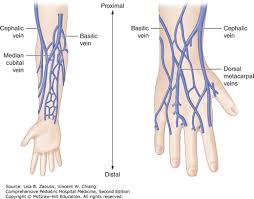 Image result for Peripheral IV Access