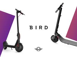 Ontbreekt een scooter of zijn gegevens niet correct? Bird Clone E Scooter App Bird Like App E Scooter App Development