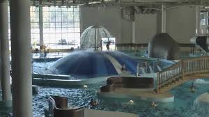 Vážení návštěvníci, dovolujeme si připomenout, že aquapark, coby součást plaveckého areálu aquacentrum šutka, je z důvodu údržby a oprav mimo. Aqua Park Zielona Gora Widok Youtube