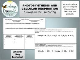In this guide, we break down mitosis vs meiosis, explain each of the processes, and lay out their similarities and differences so that you'll be able to easily. Photosynthesis And Cellular Respiration Comparison With Answer Key Photosynthesis And Cellular Respiration Cellular Respiration Photosynthesis