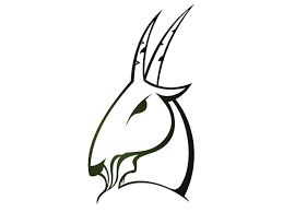 Romantisch kann es werden, wenn der zauberhafte fisch auf den erdverbundenen steinbock trifft. Sternzeichen Steinbock Der Gipfelsturmer Brigitte De