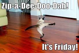 Lolcats Friday Lol At Funny Cat Memes Funny Cat Pictures With Words On Them Lol Cat Memes Funny Cats Funny Cat Pictures With Words On